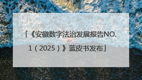 《安徽数字法治发展报告NO.1（2025）》蓝皮书发布