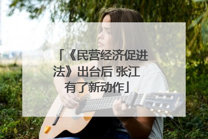 《民营经济促进法》出台后 张江有了新动作