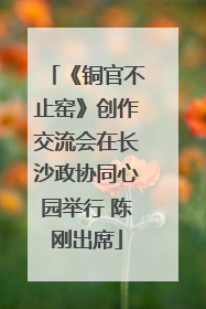 《铜官不止窑》创作交流会在长沙政协同心园举行 陈刚出席