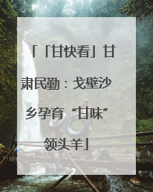 「甘快看」甘肃民勤：戈壁沙乡孕育“甘味”领头羊