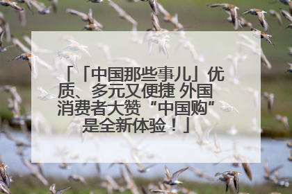 「中国那些事儿」优质、多元又便捷 外国消费者大赞“中国购”是全新体验！