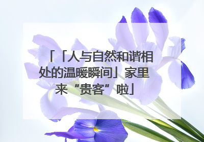 「人与自然和谐相处的温暖瞬间」家里来“贵客”啦
