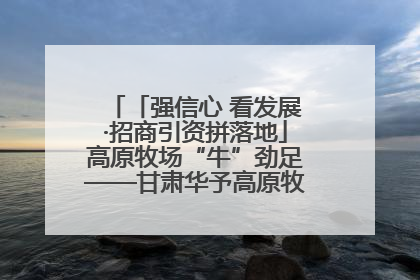 「强信心 看发展·招商引资拼落地」高原牧场“牛”劲足——甘肃华予高原牧场高标准奶牛肉牛养殖项目一线见闻