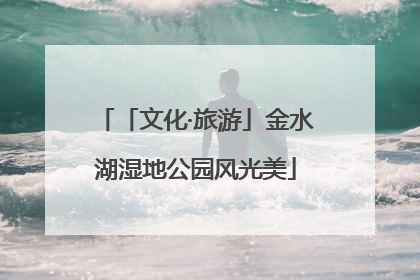 「文化·旅游」金水湖湿地公园风光美
