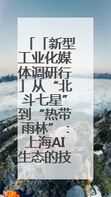 「新型工业化媒体调研行」从“北斗七星”到“热带雨林”：上海AI生态的技术商业共生密码