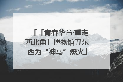 「青春华章·重走西北角」博物馆丑东西为“神马”爆火