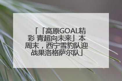 「高原GOAL精彩 青超向未来」本周末，西宁雪豹队迎战果洛格萨尔队