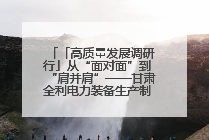 「高质量发展调研行」从“面对面”到“肩并肩”——甘肃全利电力装备生产制造项目一线见闻