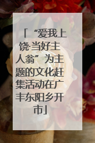 “爱我上饶·当好主人翁”为主题的文化赶集活动在广丰东阳乡开市