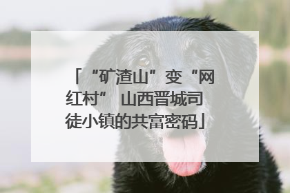 “矿渣山”变“网红村” 山西晋城司徒小镇的共富密码