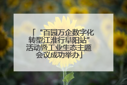 “百园万企数字化转型江淮行阜阳站”活动暨工业生态主题会议成功举办