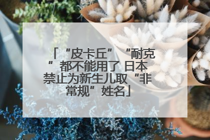 “皮卡丘”“耐克”都不能用了 日本禁止为新生儿取“非常规”姓名