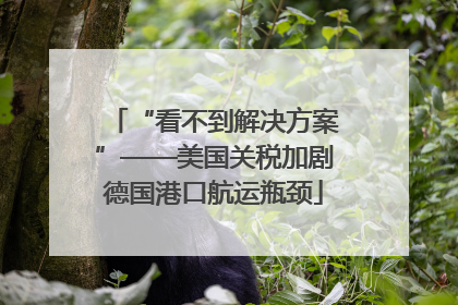 “看不到解决方案”——美国关税加剧德国港口航运瓶颈