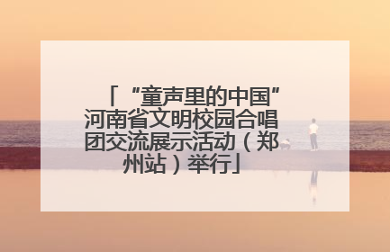 “童声里的中国”河南省文明校园合唱团交流展示活动（郑州站）举行