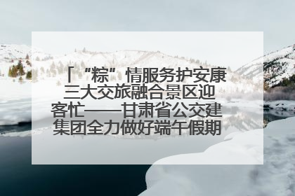 “粽”情服务护安康 三大交旅融合景区迎客忙——甘肃省公交建集团全力做好端午假期景区运营工作