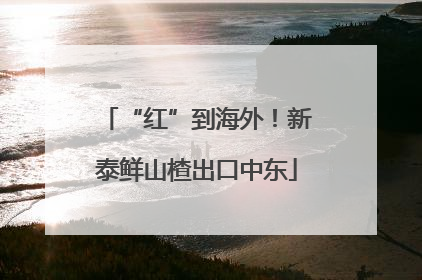 “红”到海外！新泰鲜山楂出口中东