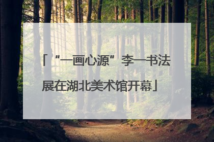 “一画心源”李一书法展在湖北美术馆开幕