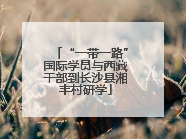 “一带一路”国际学员与西藏干部到长沙县湘丰村研学