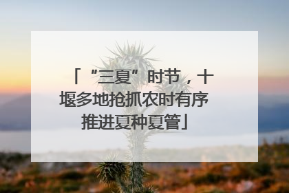 “三夏”时节，十堰多地抢抓农时有序推进夏种夏管