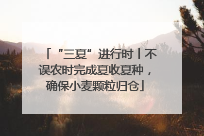 “三夏”进行时丨不误农时完成夏收夏种，确保小麦颗粒归仓