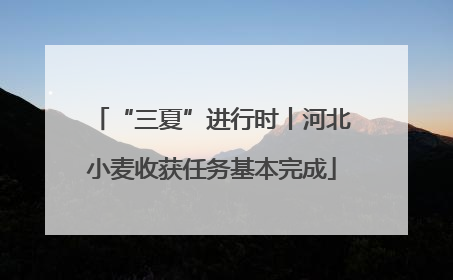 “三夏”进行时丨河北小麦收获任务基本完成