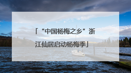 “中国杨梅之乡”浙江仙居启动杨梅季