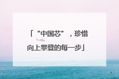 “中国芯”，珍惜向上攀登的每一步
