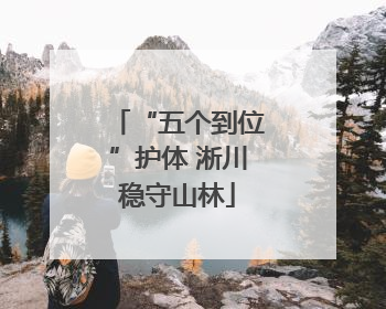 “五个到位”护体 淅川稳守山林