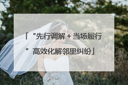 “先行调解＋当场履行”高效化解邻里纠纷