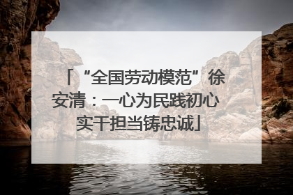 “全国劳动模范”徐安清：一心为民践初心 实干担当铸忠诚