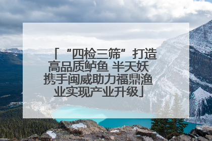 “四检三筛”打造高品质鲈鱼 半天妖携手闽威助力福鼎渔业实现产业升级
