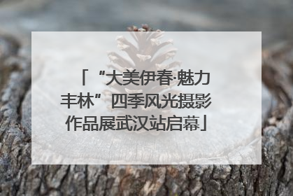 “大美伊春·魅力丰林”四季风光摄影作品展武汉站启幕