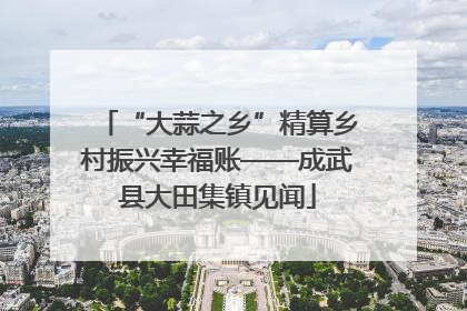 “大蒜之乡”精算乡村振兴幸福账——成武县大田集镇见闻