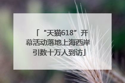 “天猫618”开幕活动落地上海西岸 引数十万人到访