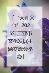 “天涯文心”2025年三亚市文化发展主题交流会举办