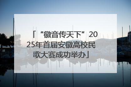 “徽音传天下”2025年首届安徽高校民歌大赛成功举办
