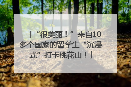 “很美丽！”来自10多个国家的留学生“沉浸式”打卡桃花山！