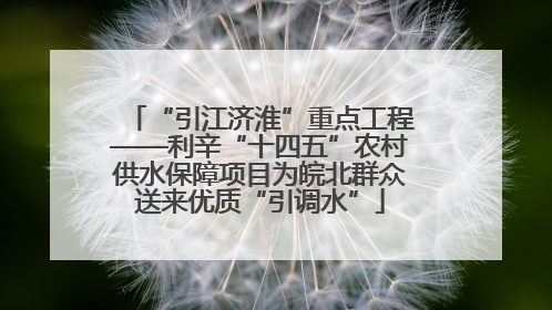 “引江济淮”重点工程——利辛“十四五”农村供水保障项目为皖北群众送来优质“引调水”