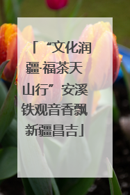 “文化润疆·福茶天山行”安溪铁观音香飘新疆昌吉