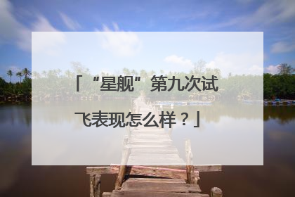 “星舰”第九次试飞表现怎么样？