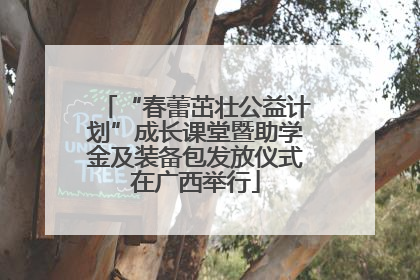 “春蕾茁壮公益计划”成长课堂暨助学金及装备包发放仪式在广西举行