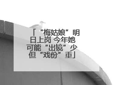“梅姑娘”明日上岗 今年她可能“出镜”少但“戏份”重