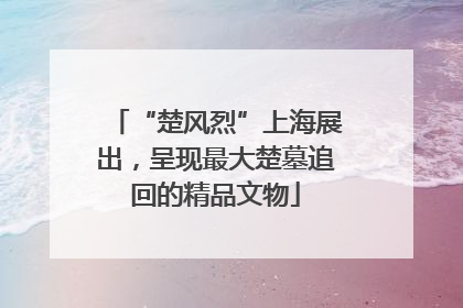 “楚风烈”上海展出，呈现最大楚墓追回的精品文物