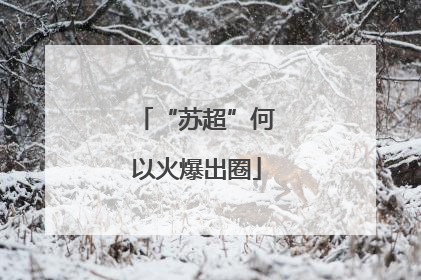 “苏超”何以火爆出圈
