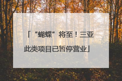 “蝴蝶”将至！三亚此类项目已暂停营业