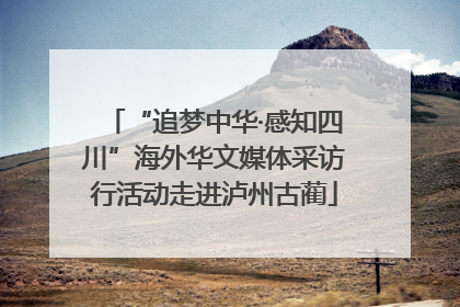 “追梦中华·感知四川”海外华文媒体采访行活动走进泸州古蔺