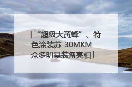 “超级大黄蜂”、特色涂装苏-30MKM 众多明星装备亮相