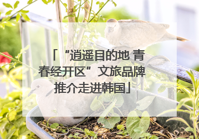 “逍遥目的地 青春经开区”文旅品牌推介走进韩国