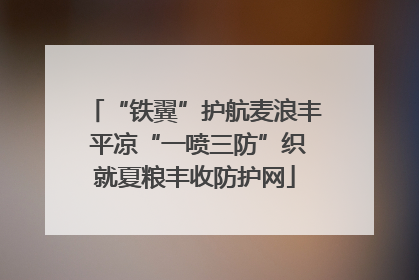 “铁翼”护航麦浪丰 平凉“一喷三防”织就夏粮丰收防护网