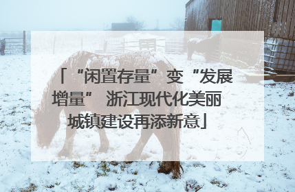 “闲置存量”变“发展增量” 浙江现代化美丽城镇建设再添新意